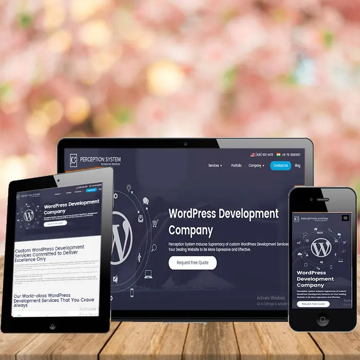 По запросу услуги разработки веб-сайта и плагинов в