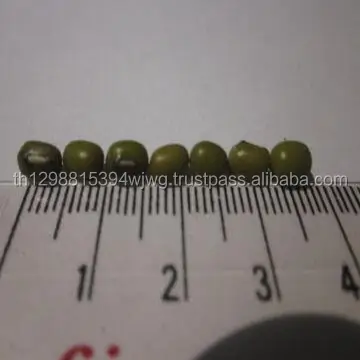 Хорошая зеленая фасоль Mung 2021, поставка урожая, фасоль mung разных размеров