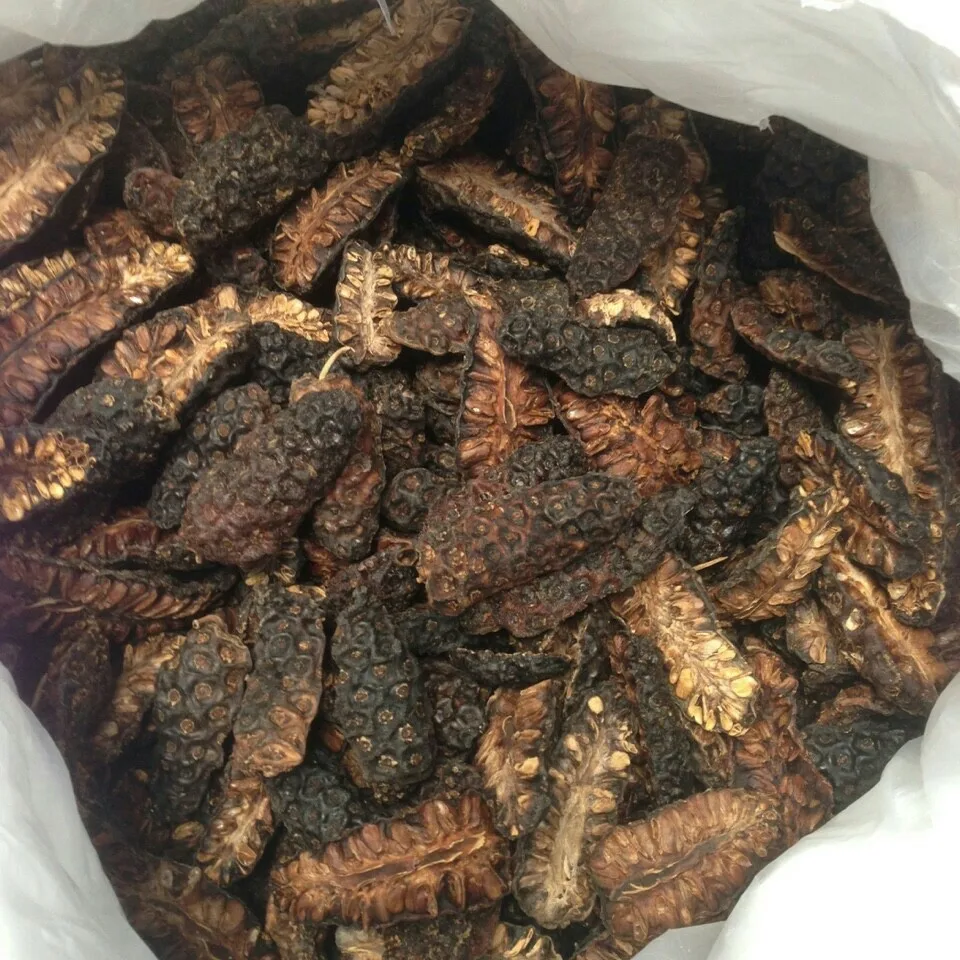 VIETNAMESE DRIED NONI FRUIT HIGH QUALITY BEST PRICE +84765149122