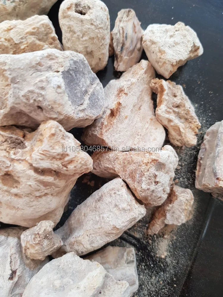 Italiyaning eshagida Uxlayotgan malika bilan jinsiy aloqa