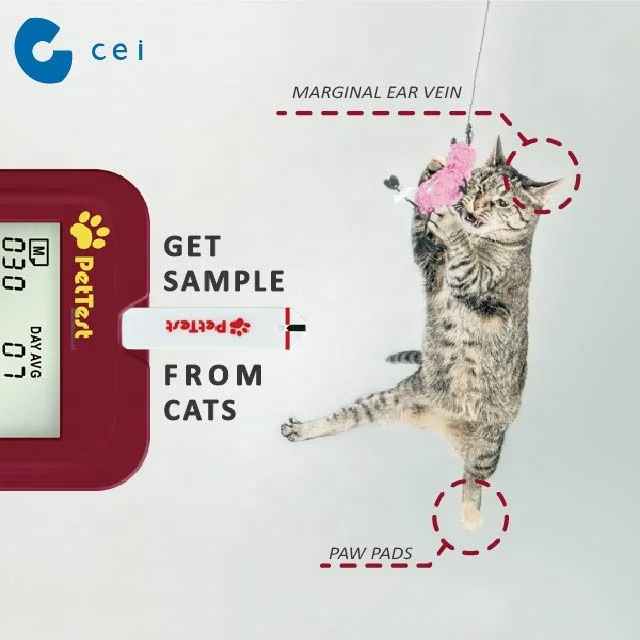 High Quality Animal Blood Sugar Test Veterinary Glucose Meter Other Pet  Products Diagnostic Kit