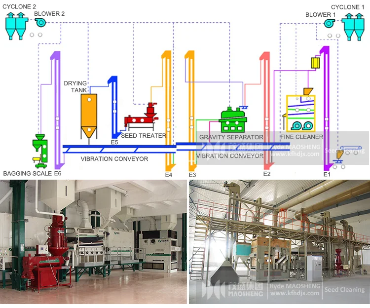 10t seed cleaning plant
