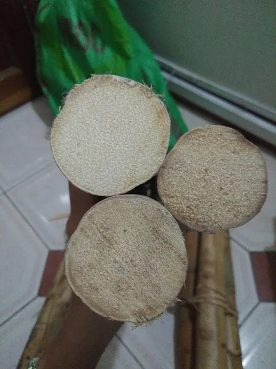 Rattan Reed Sticks Diffuser/Pitriet/Rattan Malacca