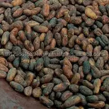 Высококачественные сушеные ферментированные какао бобы по очень хорошим ценам