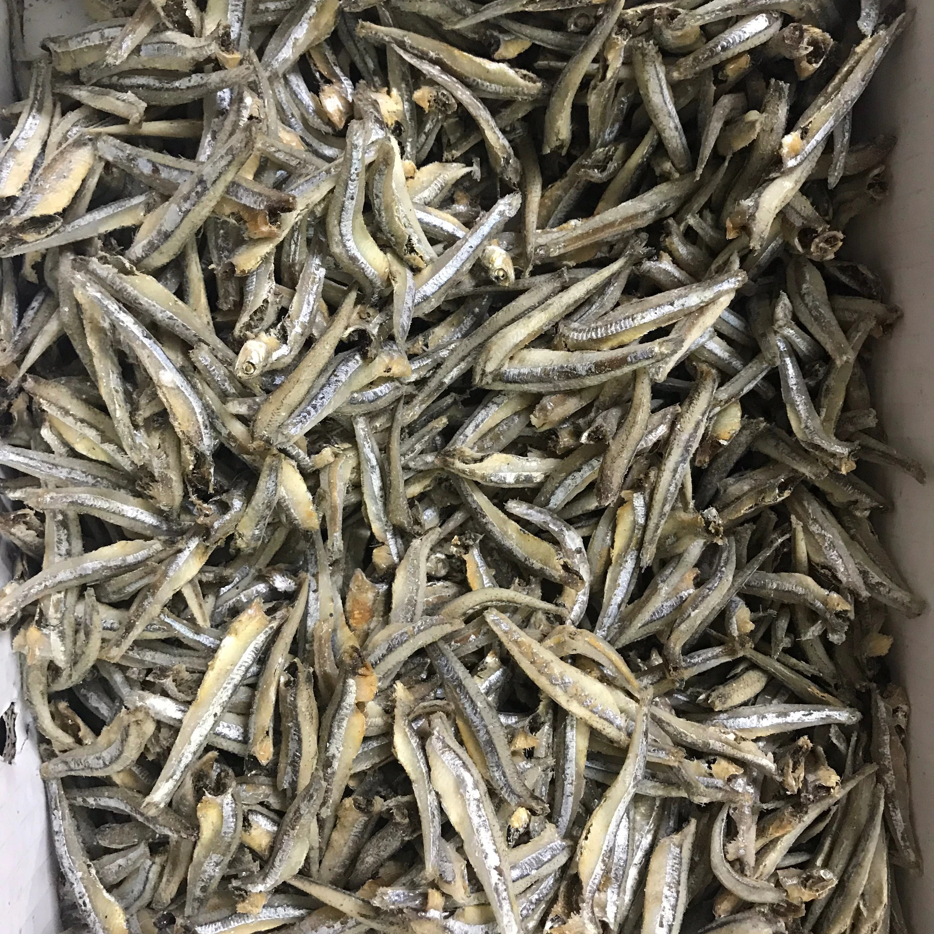 乾燥アンチョビ魚 乾燥アンチョビ 高品質 最高価格のスプラット Buy 乾燥したアンチョビ魚 アンチョビ魚粉 アンチョビ魚 Product On Alibaba Com
