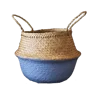 b1