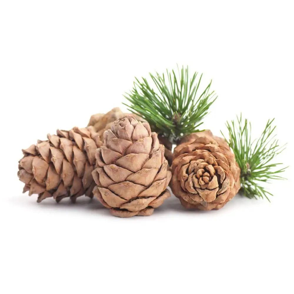 buy online 100% pure natural cedarwood himalayan