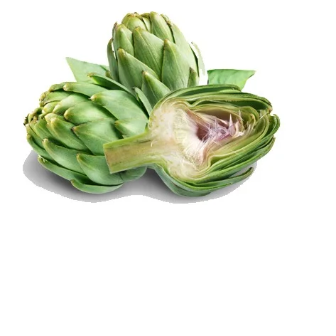 artichoke extract - artichoke leaf extract whatsapp  84 845