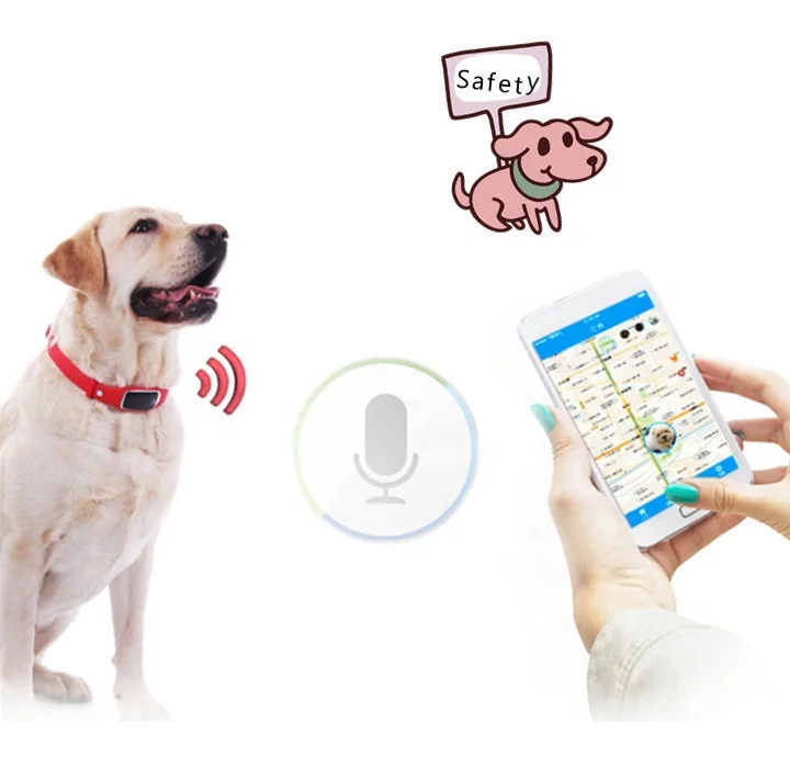 internal gps for dogs