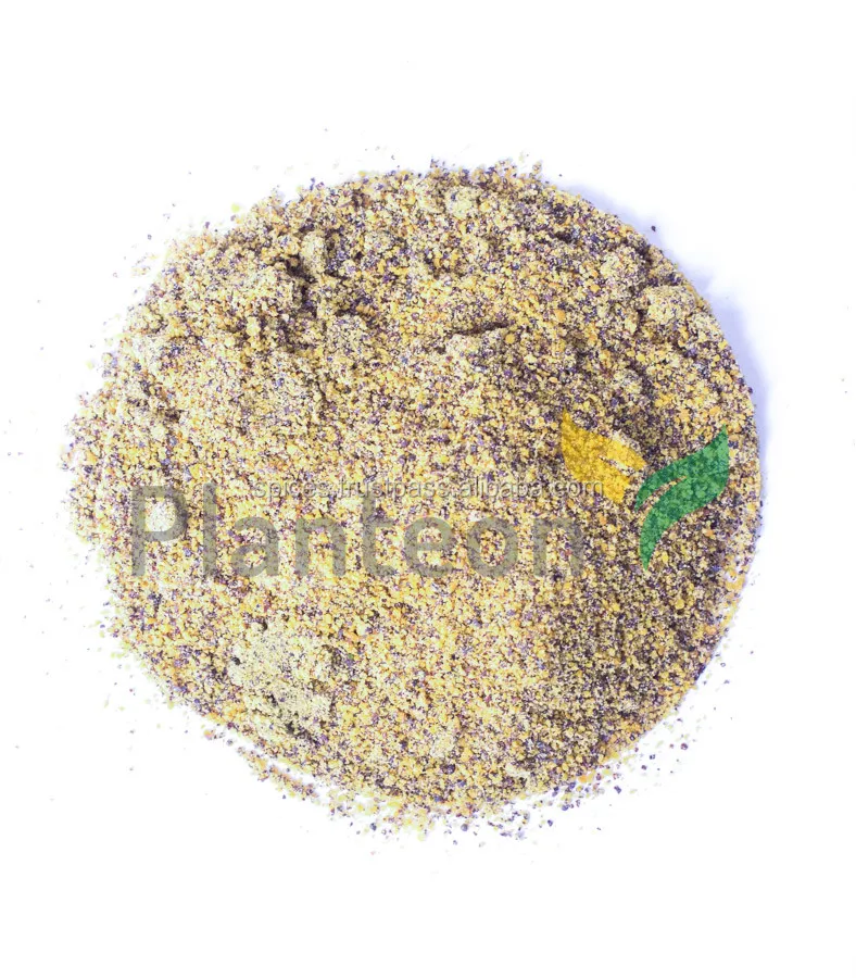 Brown Mustard Seeds Powder Brassica Nigra Buy Mustard Seed Necklace