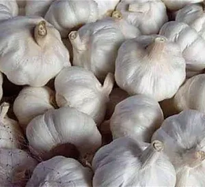 Hot Sale Cheap Price White Normal 5.0cm 1kg X10/carton Indian Fresh Garlic..