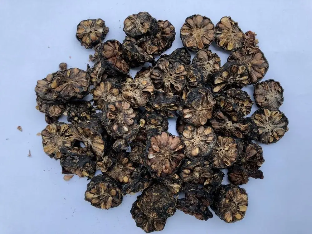 VIETNAMESE DRIED NONI FRUIT HIGH QUALITY BEST PRICE +84765149122