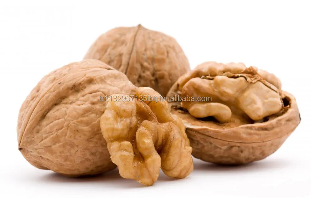 Premium Quality Whole Walnuts Fresh Nutrientrich Nuts Ideal For
