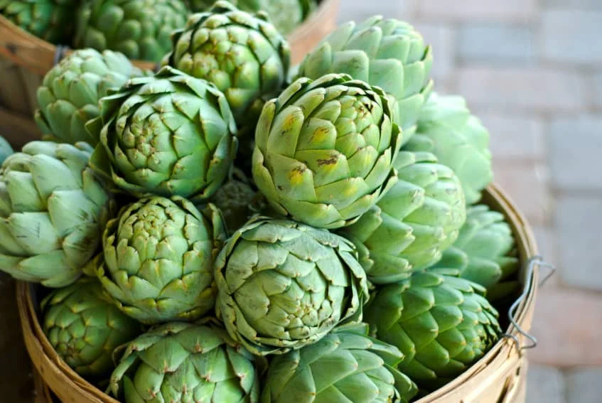 WHOLESALE VIETNAM DRIED ARTICHOKE for TEA