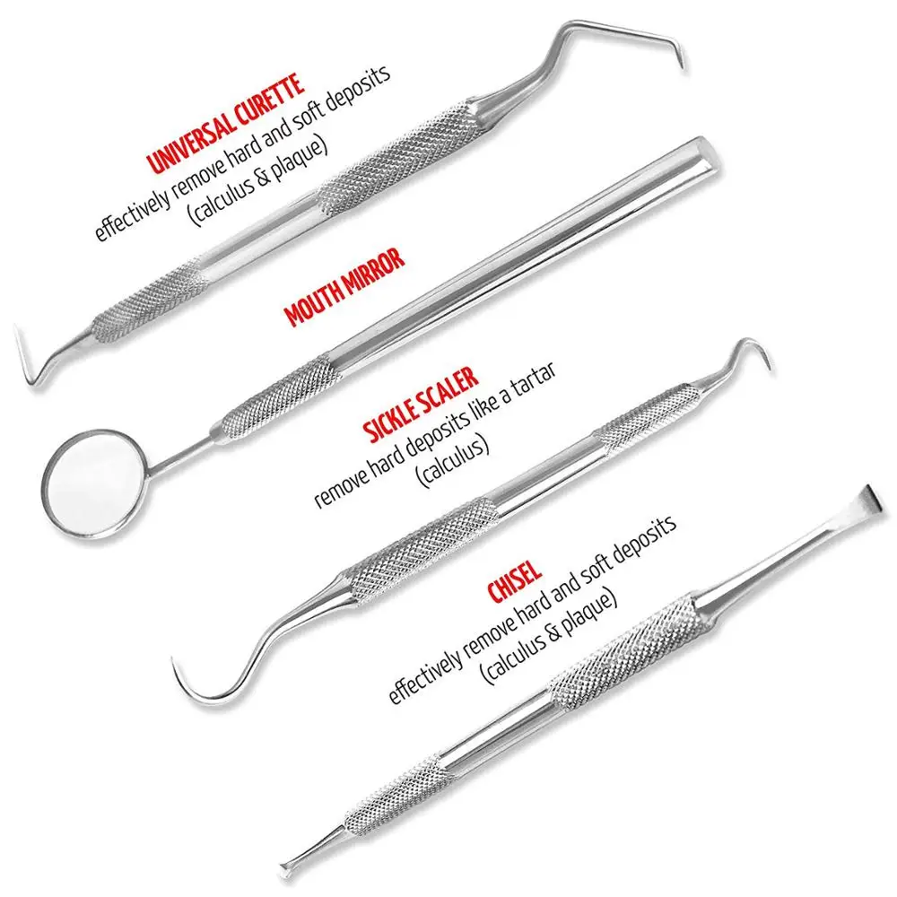 Guide des miroirs dentaires pour votre cabinet ! - Distributeur de máteriel  dentaire - Dentaltix