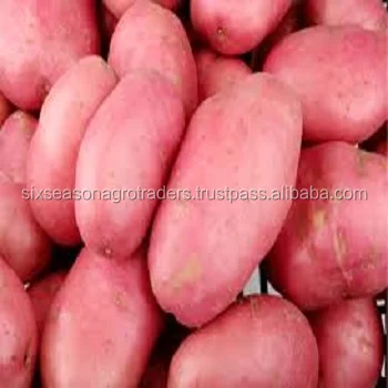 
Лучшая цена, свежий картофель для фермы/Высококачественный картофель 