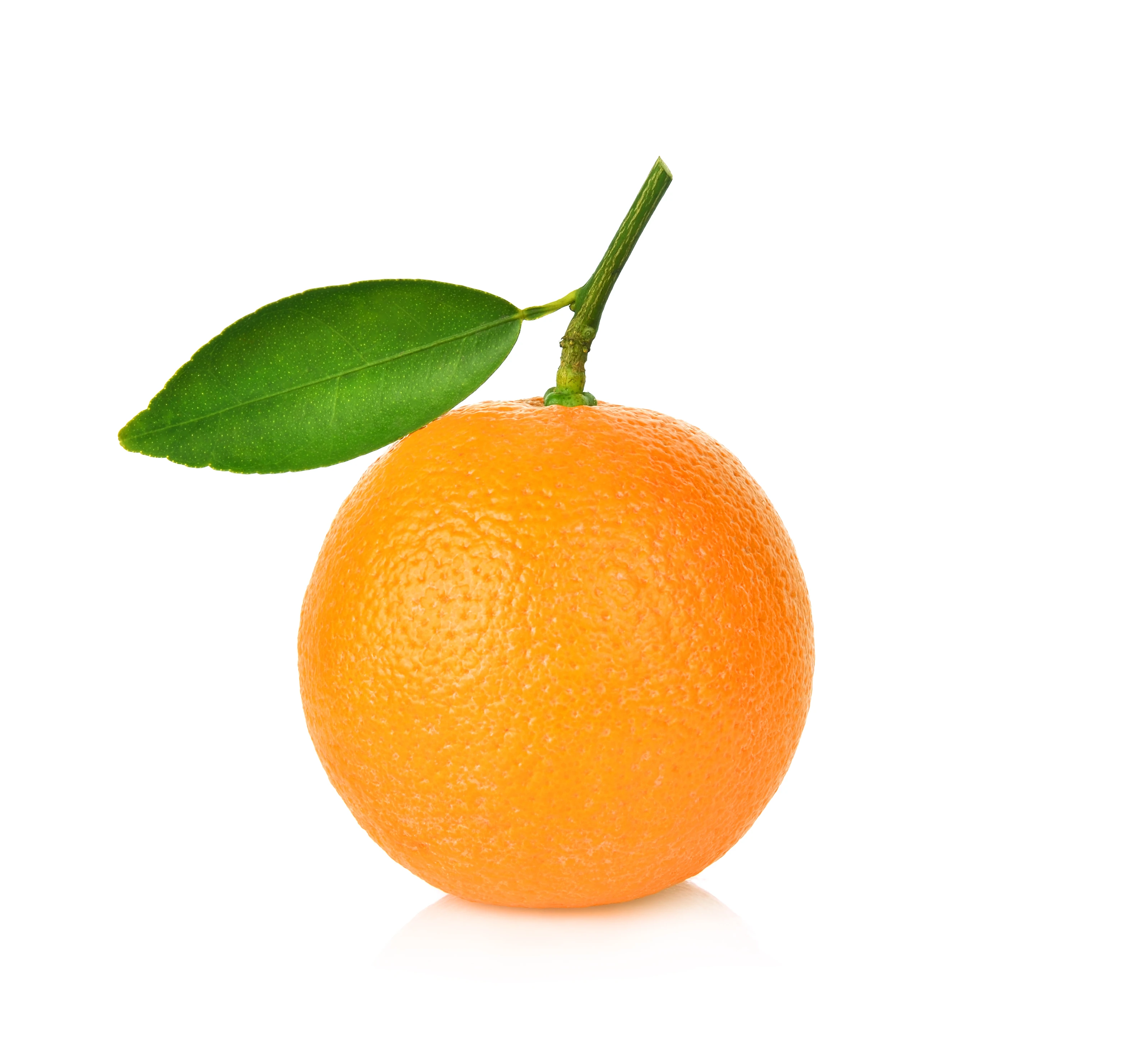 Valencia Oranges From Egypt Fresh Citrus Fruit Bulk Produce High