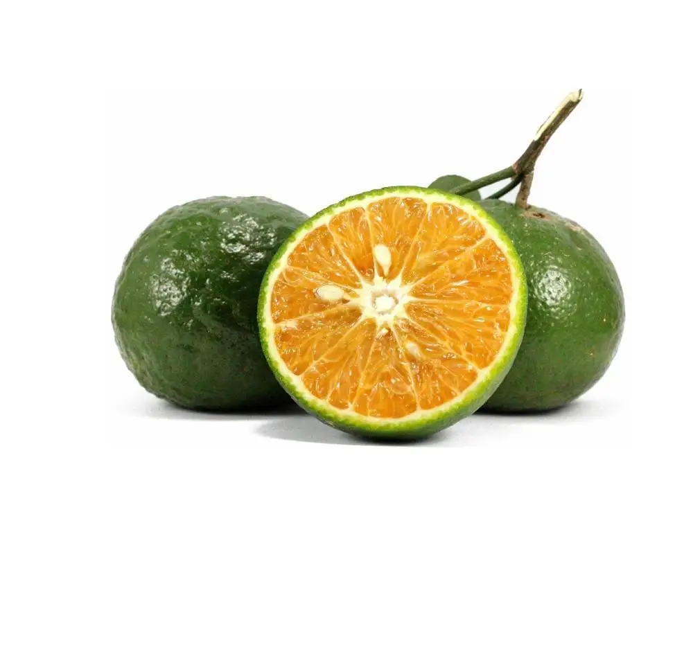 ベトナムグリーンオレンジ キングマンダリン 輸入業者向けフレッシュフルーツ Buy グリーンオレンジ ベトナムオレンジ 王マンダリン Product On Alibaba Com