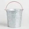Galvanized