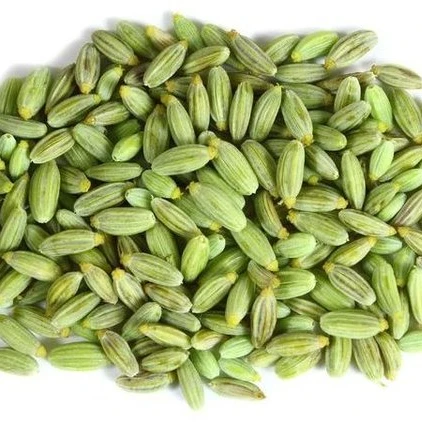 fennel seed single herbs & spices fresh raw iso - buy fennel