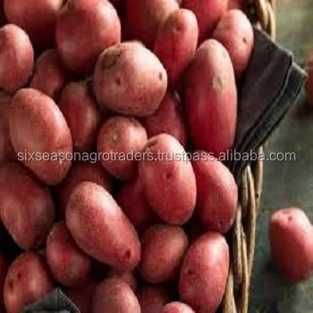 
Лучшая цена, свежий картофель для фермы/Высококачественный картофель 