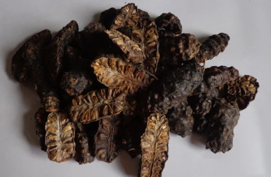 VIETNAMESE DRIED NONI FRUIT HIGH QUALITY BEST PRICE +84765149122