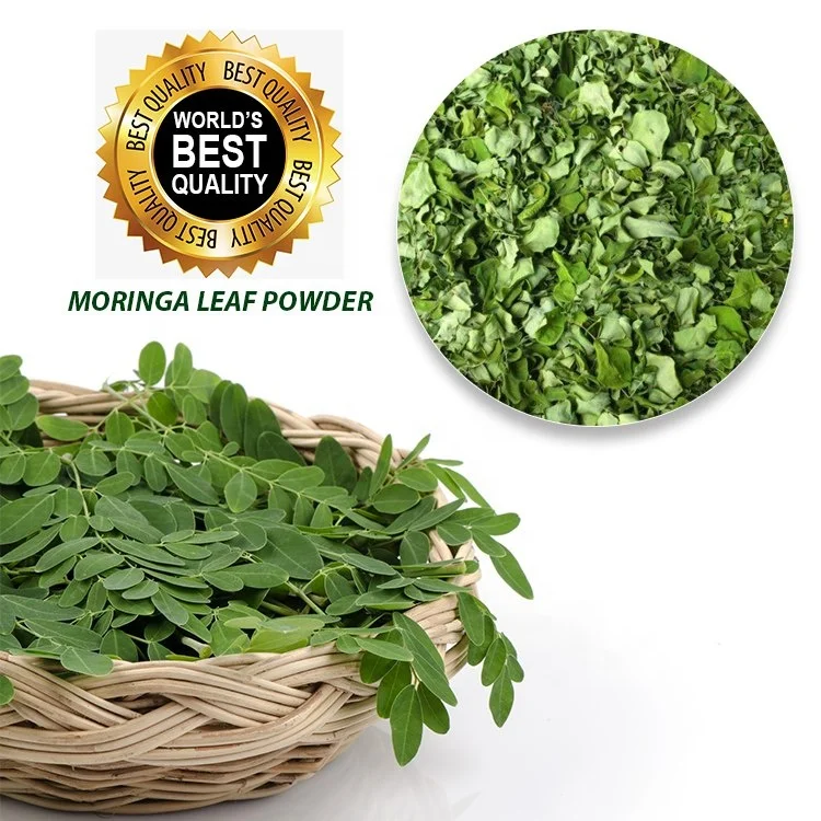 
Bulk Moringa Leaf Powder Wholesale Price/ Best Price Moringa Oleifera Powder 