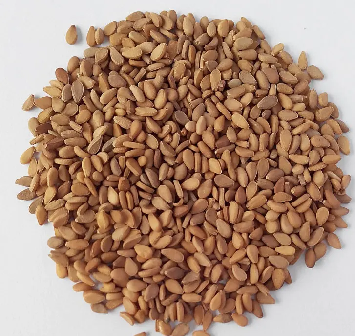 sesame seed - buy indian origin double skin brown sesame seeds