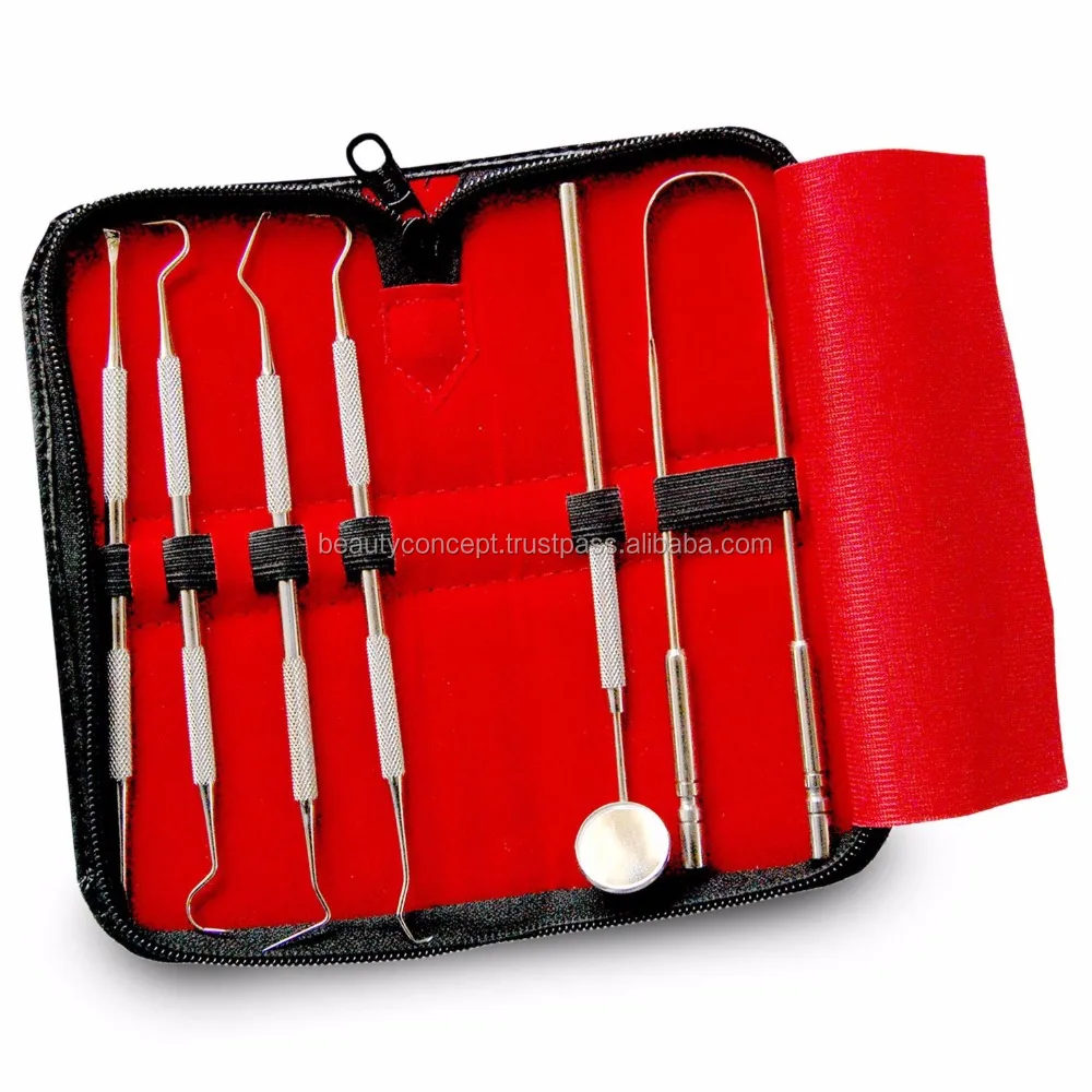 Stainless Steel Oral Care Kit Dental Hygiene Instruments Plaque