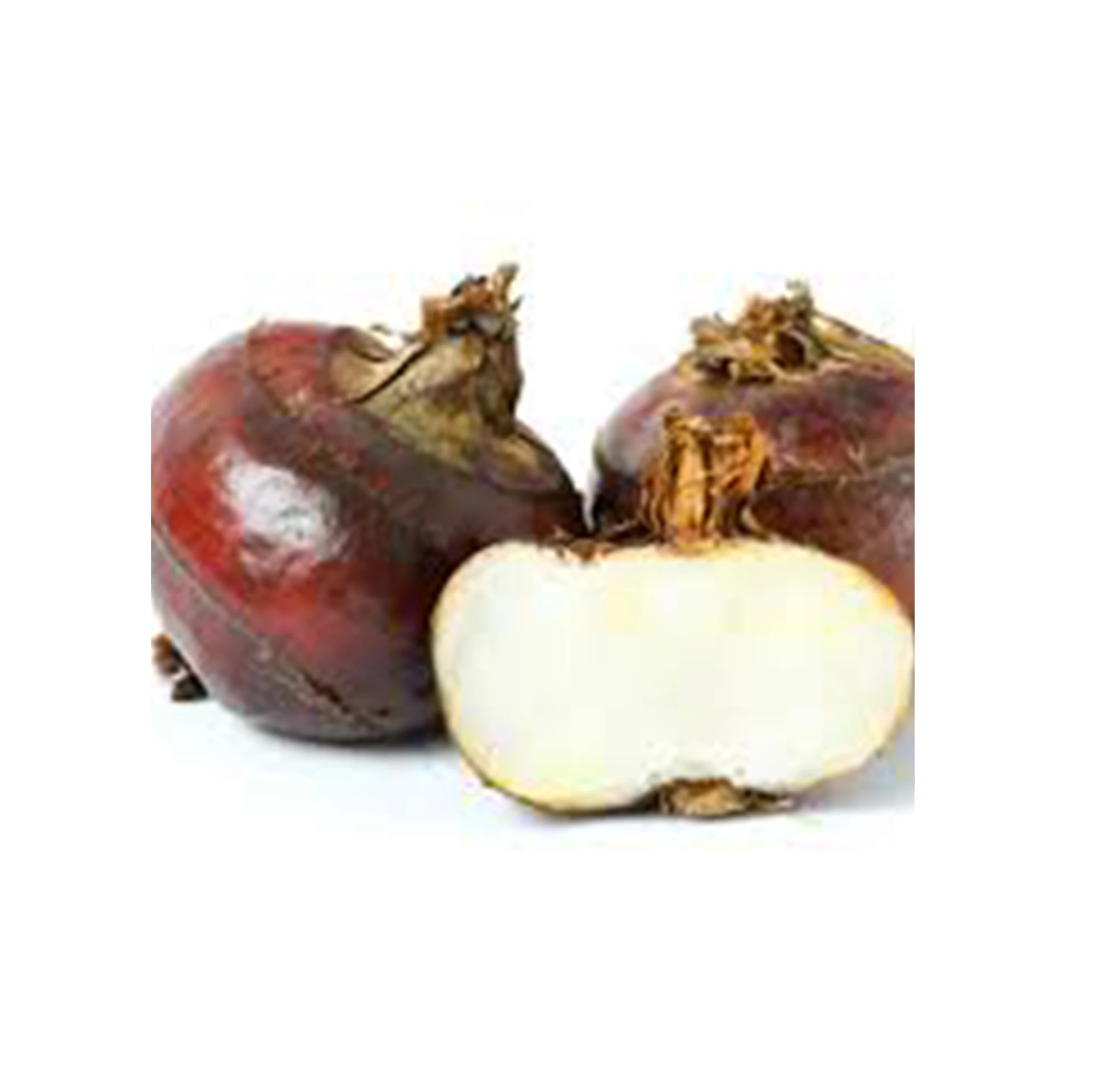 frozen peel iqf water chestnuts / canned water chestnut in tin