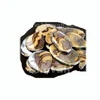 Hoteles en schalenblende