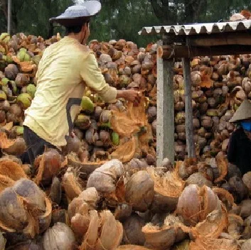 coconut shell cat litter