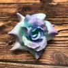 Blue/Purple