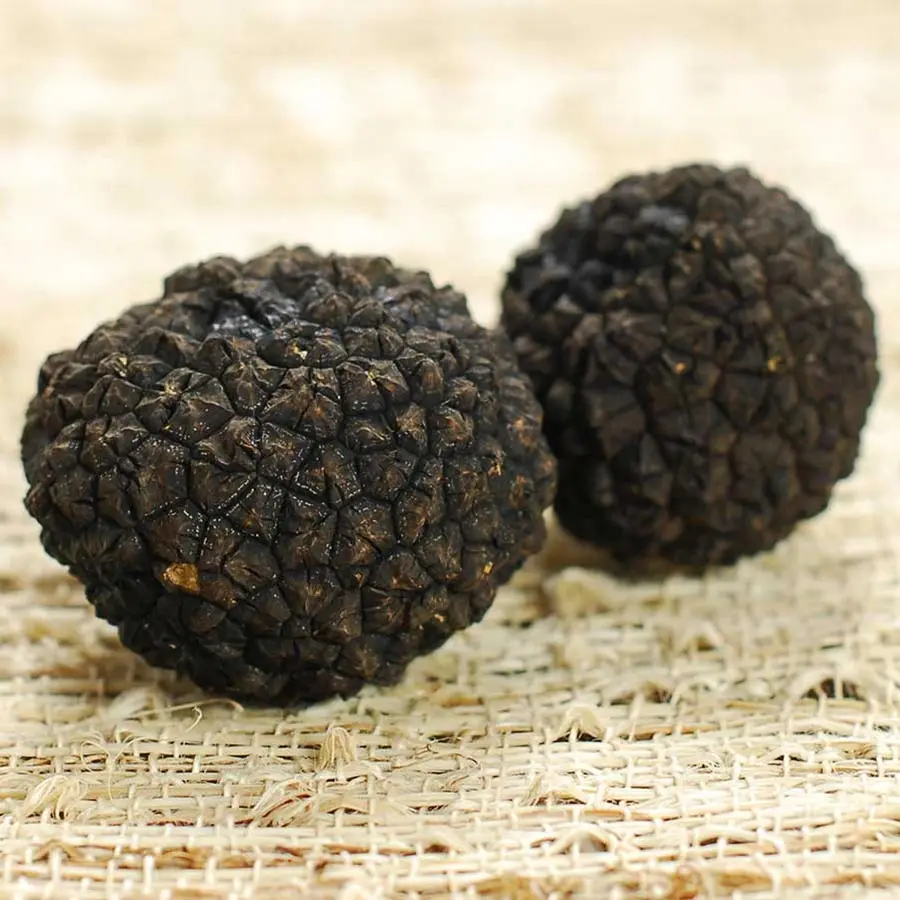 Black Fresh Truffle Best Price Buy White Truffle Dried White Truffle Dried Truffles For Sale Product On Alibaba Com