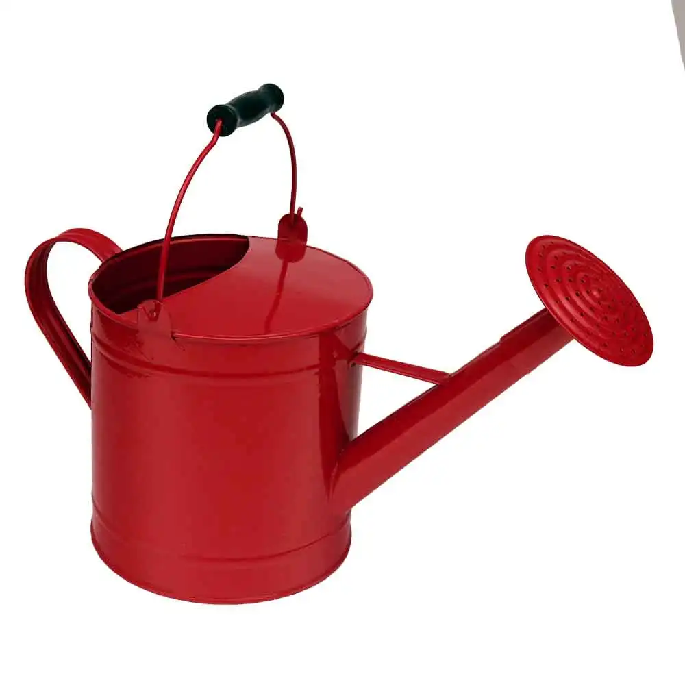 New Shape Design Vintage Iron Garden Watering Can Wholesale Exporter