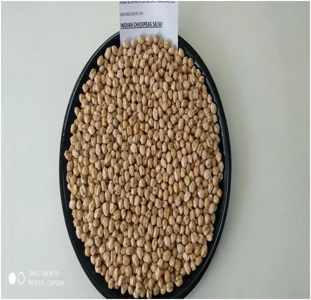 CHICK PEAS Chickpeas from IN;41826 Kabuli 25 Kg 99.99 Fresh COMMON Cultivation with 2 Yr. Shelf Life