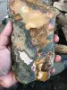 Multi color