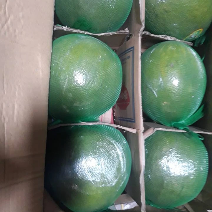 Fresh Grapefruit / Red Grapefruit Pomelo in 2020