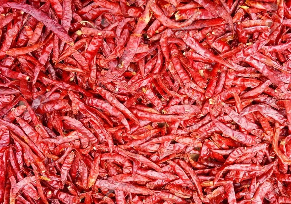 Chilli / Dried Chilli / Red Chilli Powder