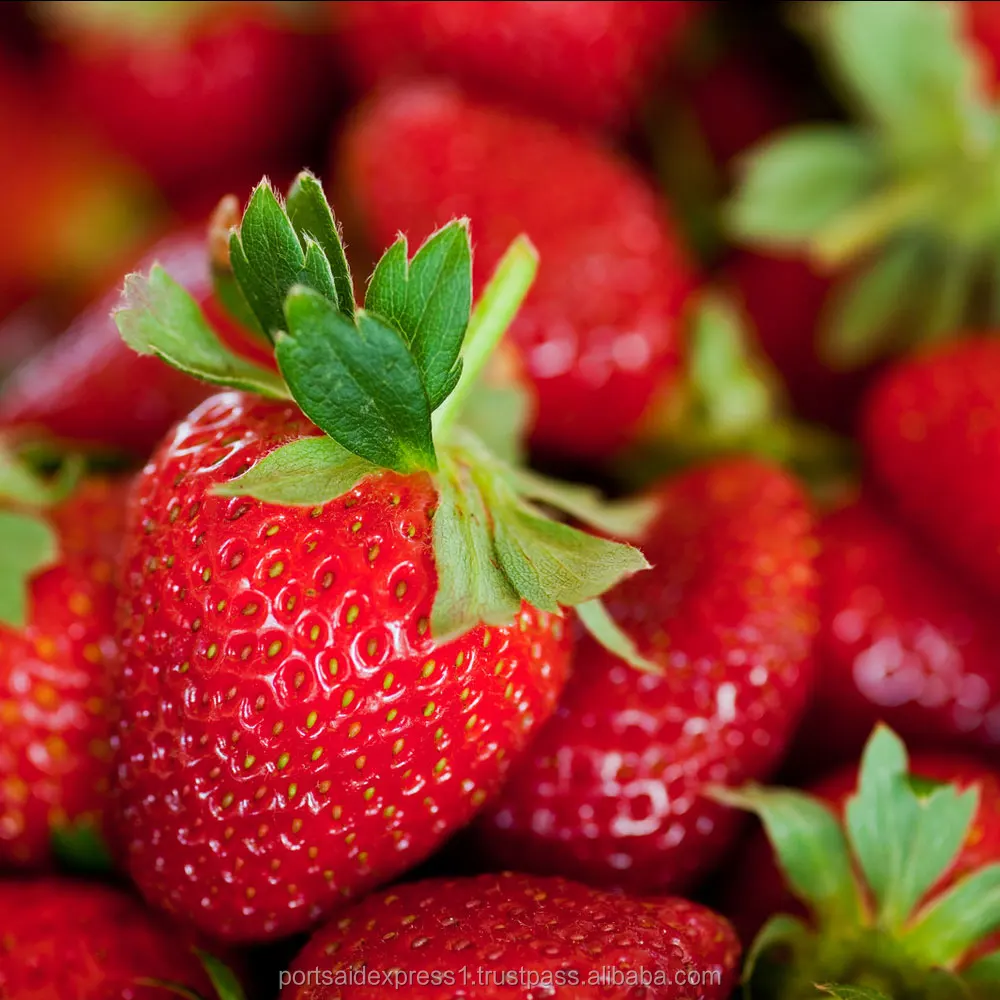 Клубника свежая. Клубника Вирджиния. Aardbei клубника. Клубника Голд Фреш. Fresh Strawberry Turkey цена.