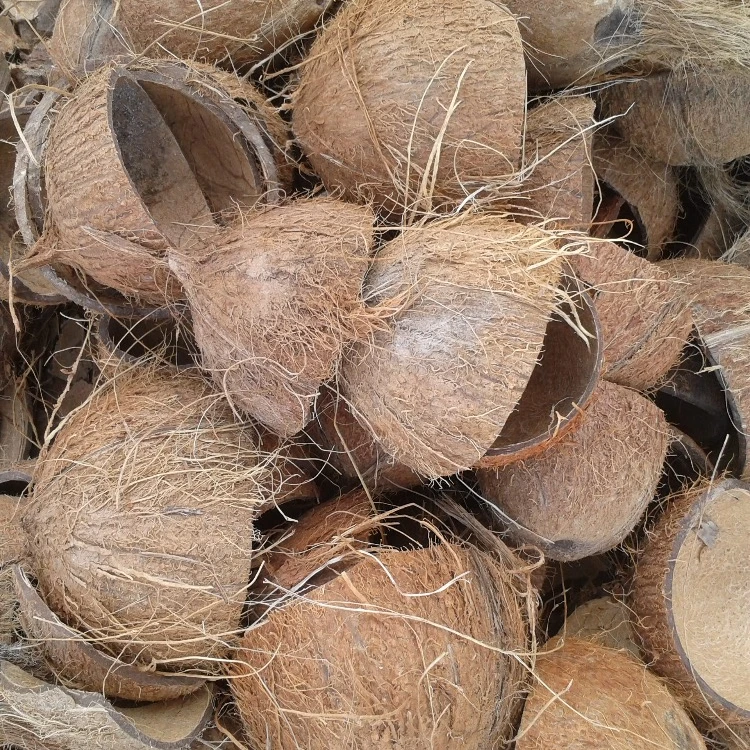 Coconut Shell Raw, High Quality Coconut Shell For Sale,Recycled Coconut She...