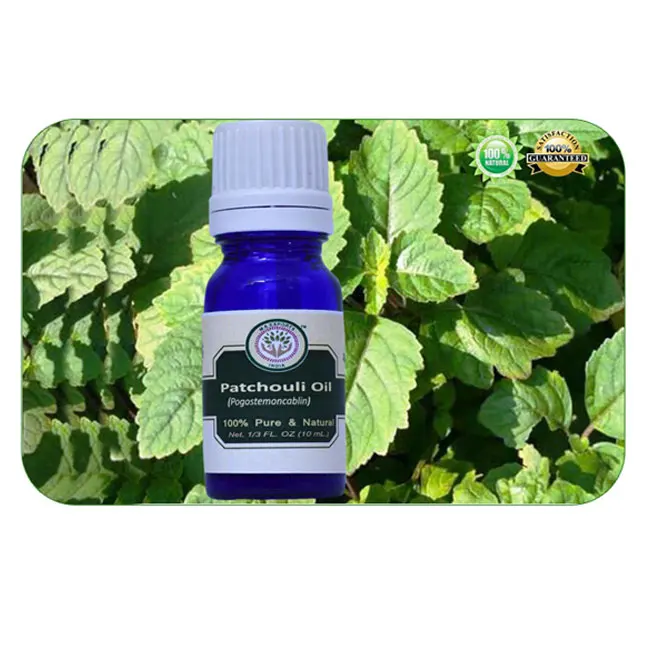 sweet patchouli