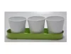Verde y blanco