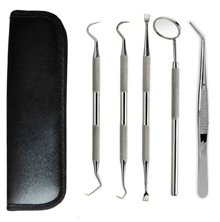 dental hygiene kit dental tools with tarter scrap