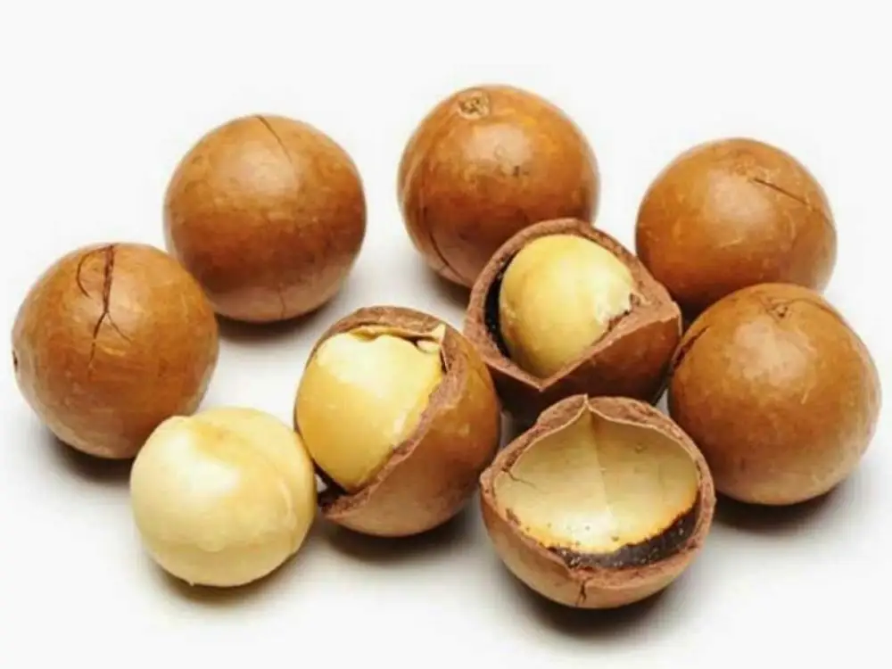 Price-of-Macadamia.jpg