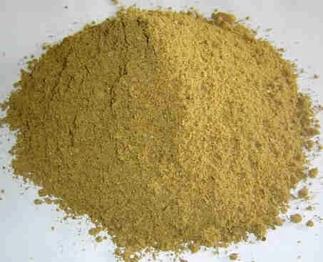 fish meal for poultry