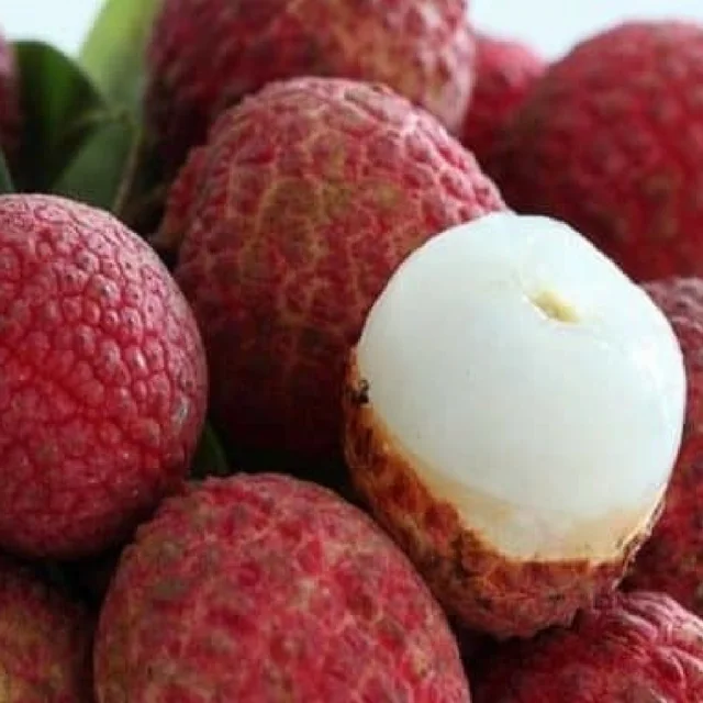ベトナムの新鮮でおいしいライチ作物21無料税バイオクリーン良質甘いライチ果物卸売 Buy ライチ新鮮なおいしいライチ ベトナム作物21送料税バイオクリーン良質甘いライチ果物卸売 新鮮なライチ 格安価格ライチ 卸売ライチ 低価格ライチ 安いライチ 赤ライチ 冷凍