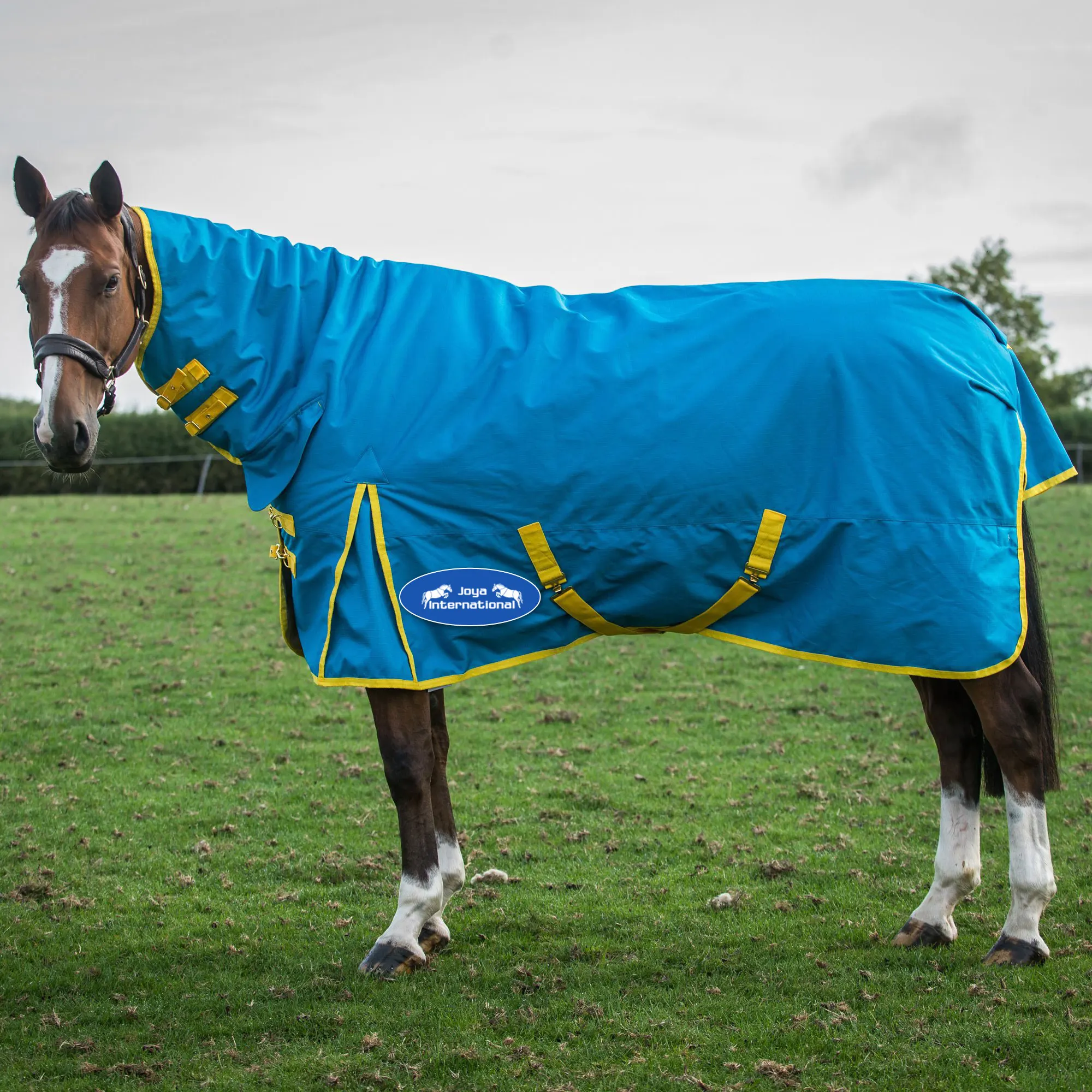 Waterproof Horse Rugs