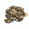 Natural Yellow Septarian crystal assorted selected
