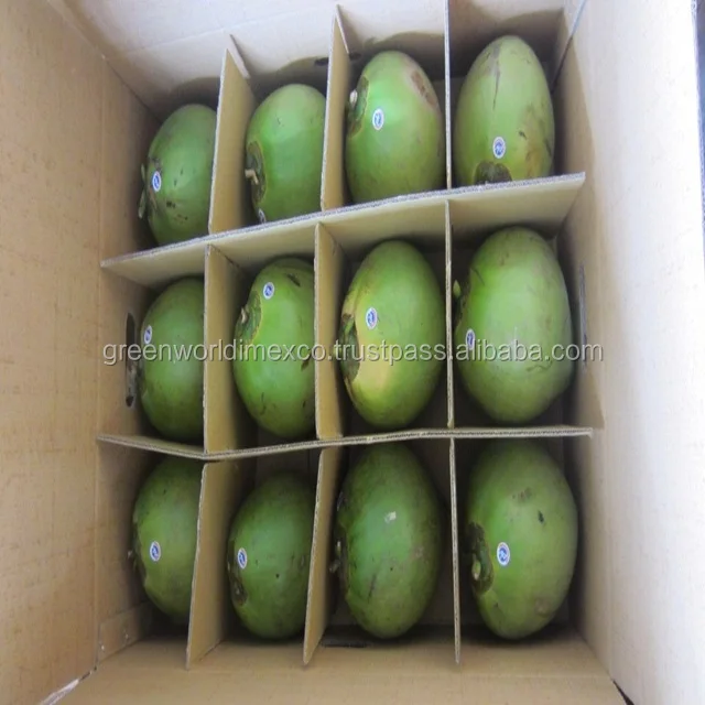 
Самая низкая цена на зеленый кокос из Вьетнама! Лидер продаж 